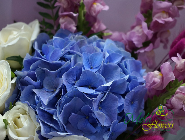 Buchet de hortensie violeta si trandafiri albi foto